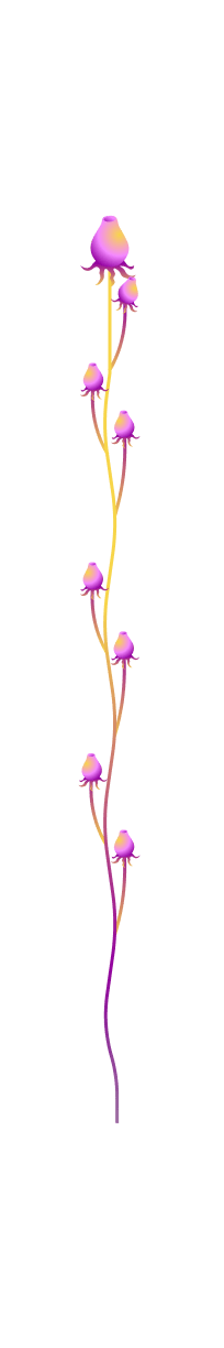 Hollowcap