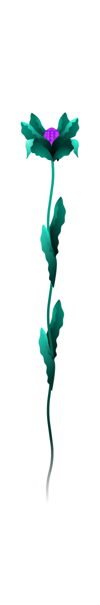 Skyreach