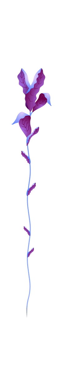 Shadeleaf