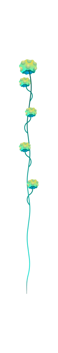 Softspore