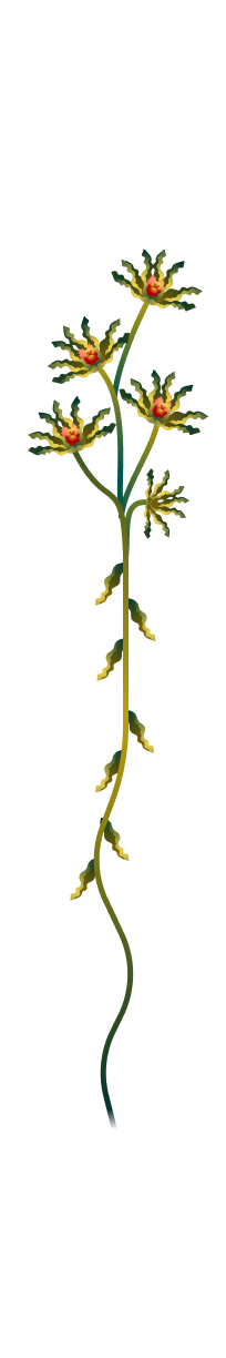 Starstalk