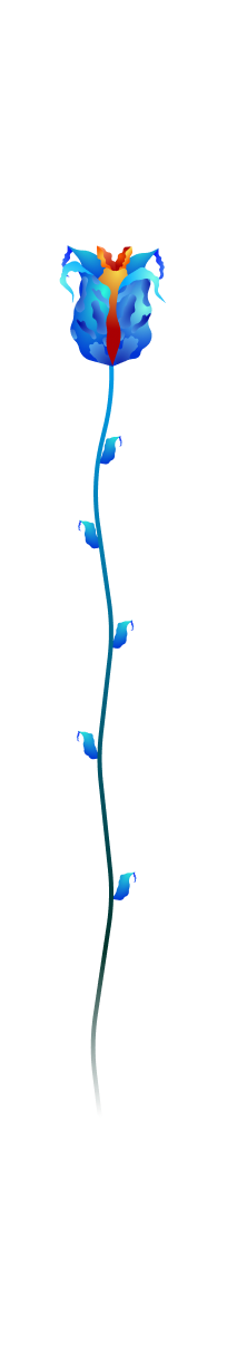 Veilflare